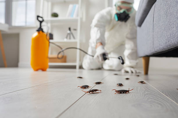 Commercial Kitchen Cockroach Control in Sanborn